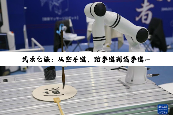 【科普解答】武术之旅：从空手道、跆拳道到截拳道——解锁身心双重蜕变的奥秘