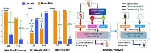 CD-LAM因果去偏世界模型：让机器人真正